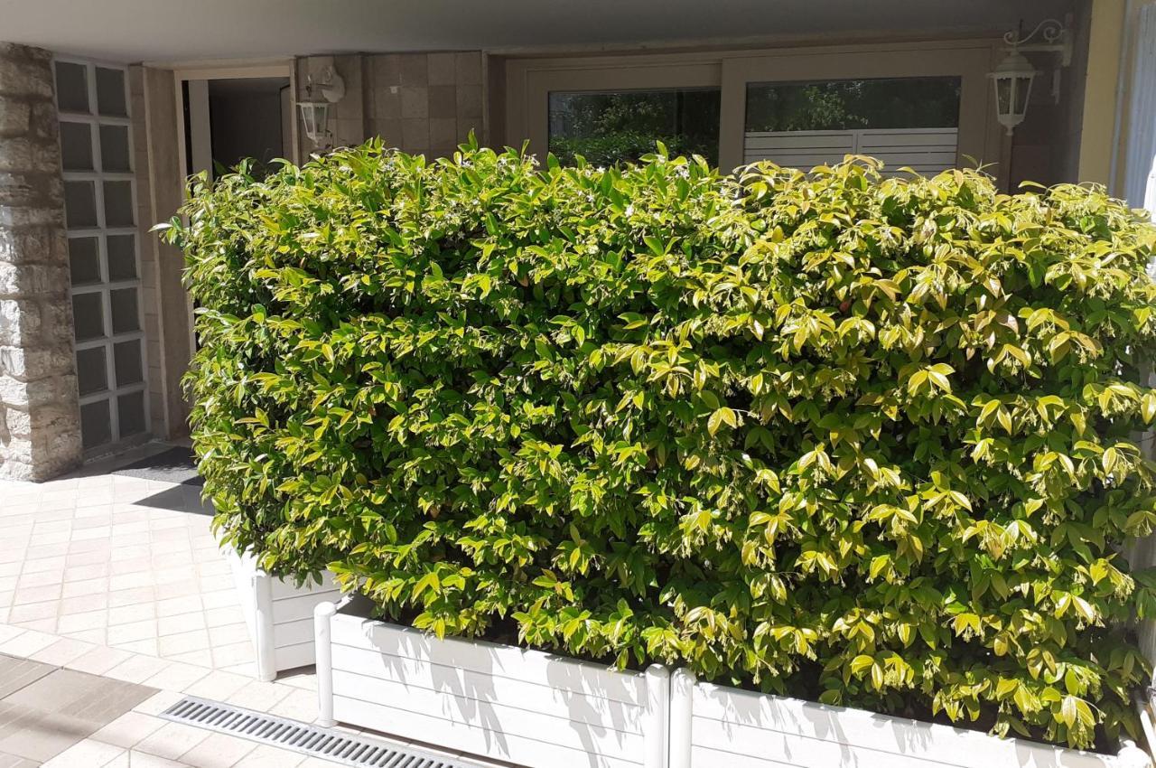 Minzoni94 - Twobedroom+Garden Lido di Camaiore Eksteriør billede
